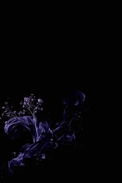 生活的答案